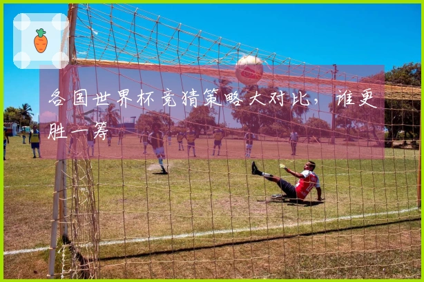 各国世界杯竞猜策略大对比，谁更胜一筹