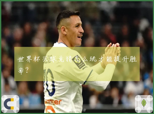 世界杯买球竞猜怎么玩才能提升胜率？