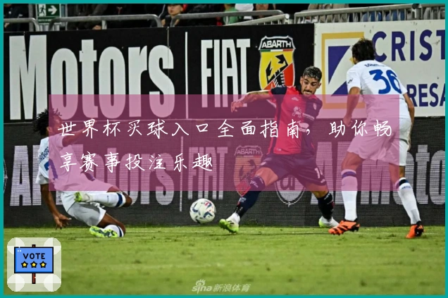 世界杯买球入口全面指南，助你畅享赛事投注乐趣