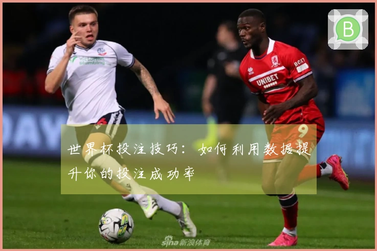 世界杯投注技巧：如何利用数据提升你的投注成功率