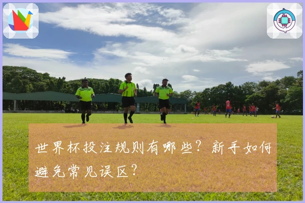世界杯投注规则有哪些？新手如何避免常见误区？
