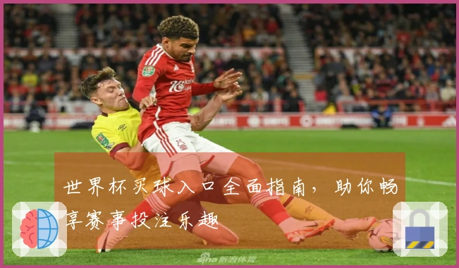 世界杯买球入口全面指南，助你畅享赛事投注乐趣